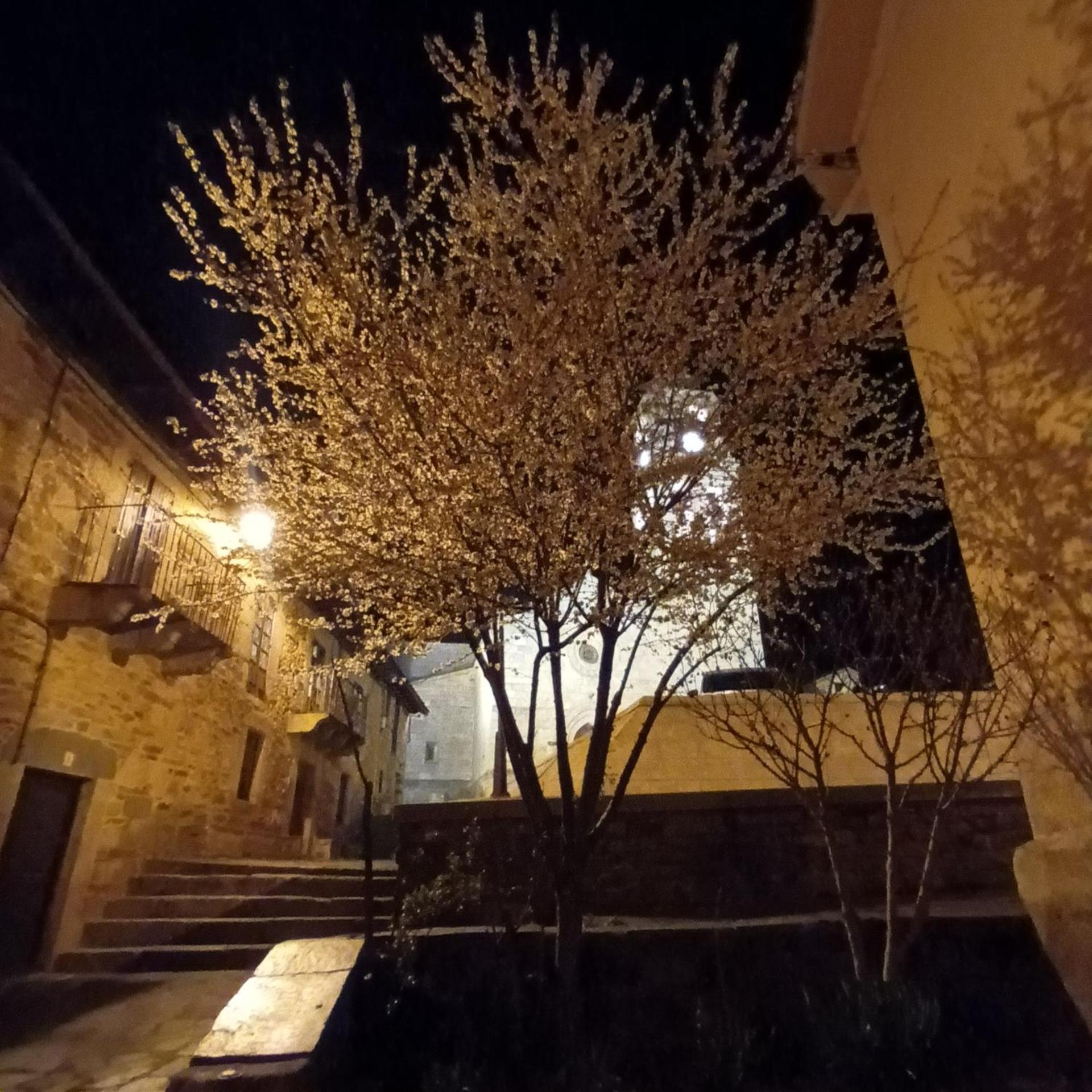 La Artesonada Casa Con Finca Villa Puebla de Sanabria Ngoại thất bức ảnh