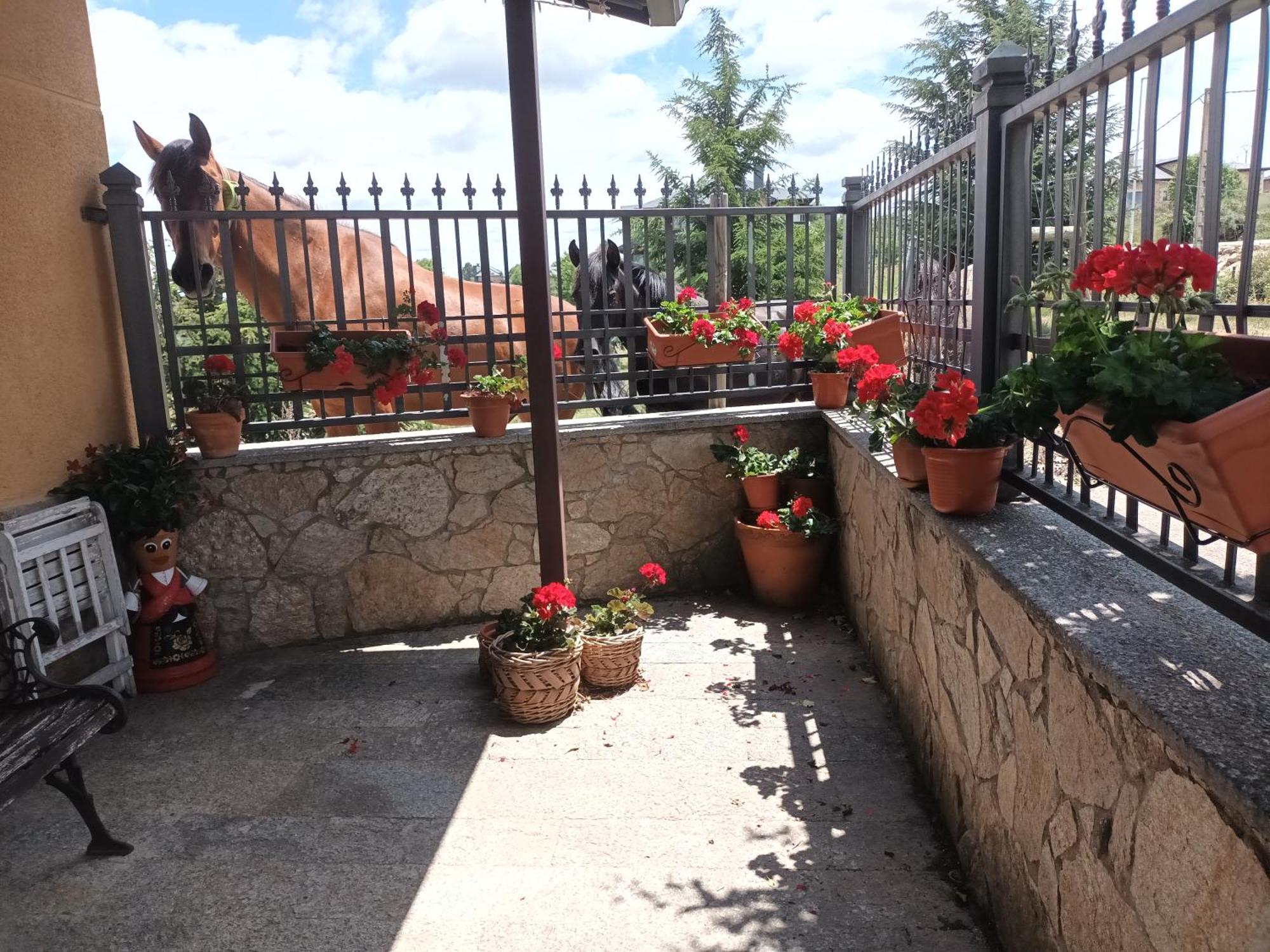 La Artesonada Casa Con Finca Villa Puebla de Sanabria Ngoại thất bức ảnh