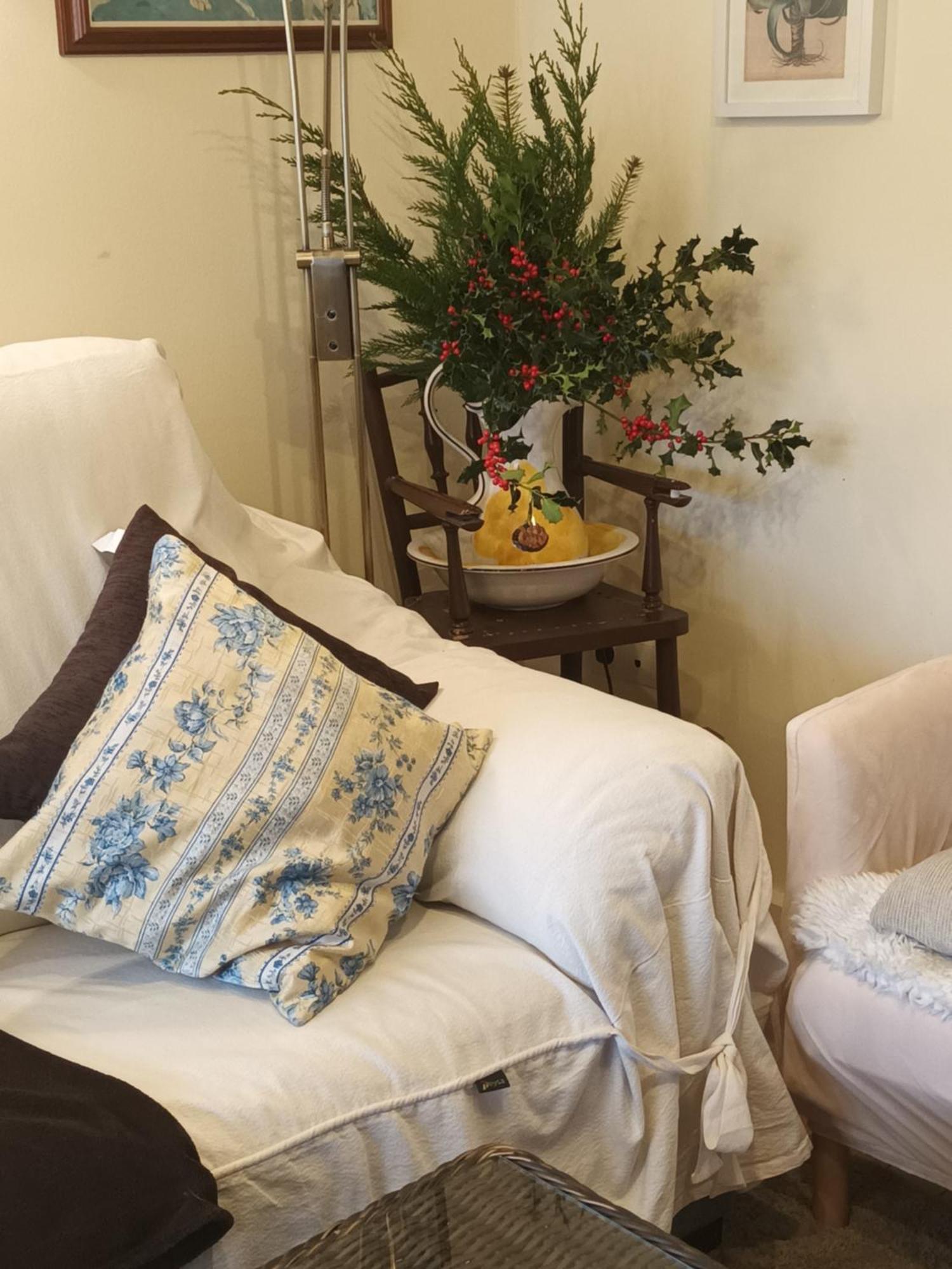 La Artesonada Casa Con Finca Villa Puebla de Sanabria Phòng bức ảnh